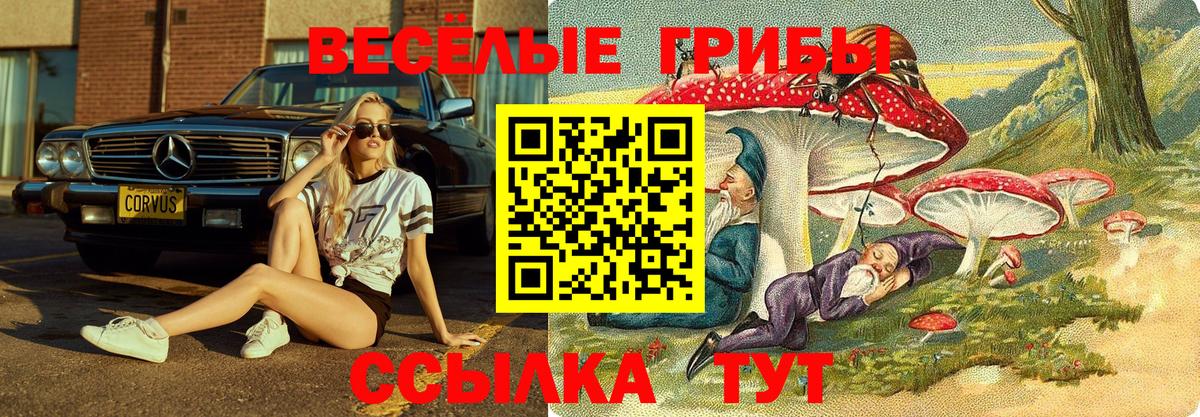 Галлюциногенные грибы мицелий Нальчик