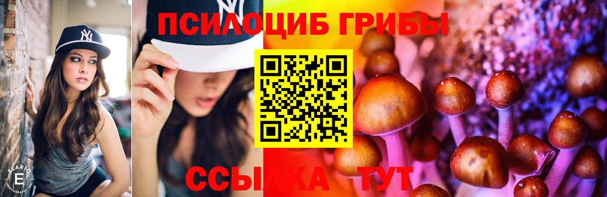 Галлюциногенные грибы ЛСД  Вход с VPN  Нальчик 